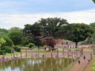 Villa Adriana Visita Guidata semi privata